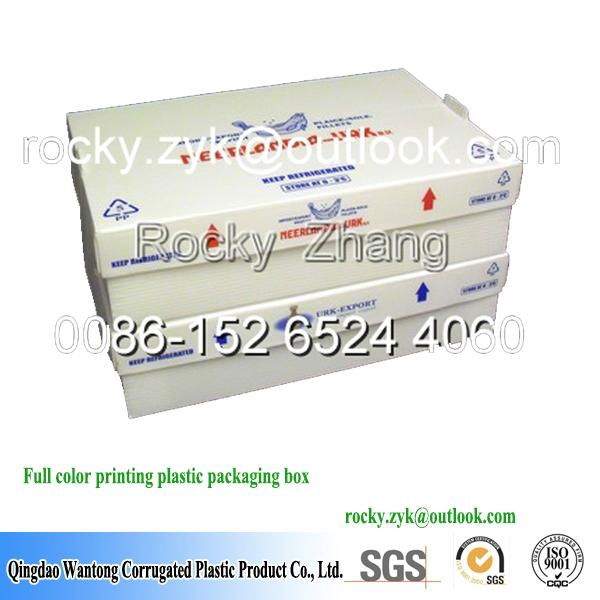 PP corrugaed box corflute box carton 3