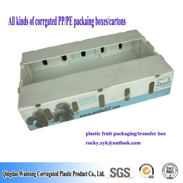 PP corrugaed box corflute box carton 4