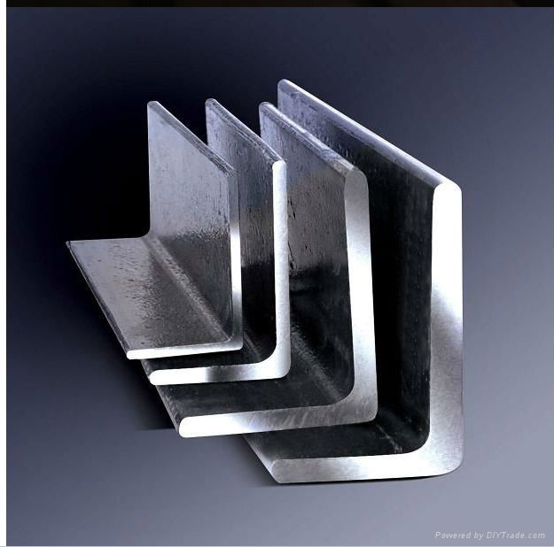 Stainless Steel Angles