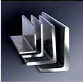 Stainless Steel Angles