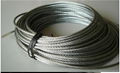 Stainless Steel Wire 3