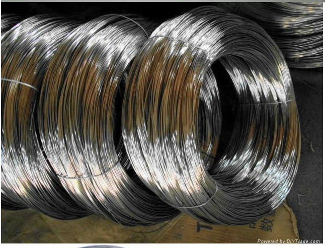 Stainless Steel Wire 4