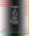 Forged Steel Welded Bonnet Globe Valve 1