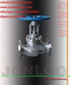 DIN Globe Valve 1