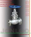 ANSI Globe Valve