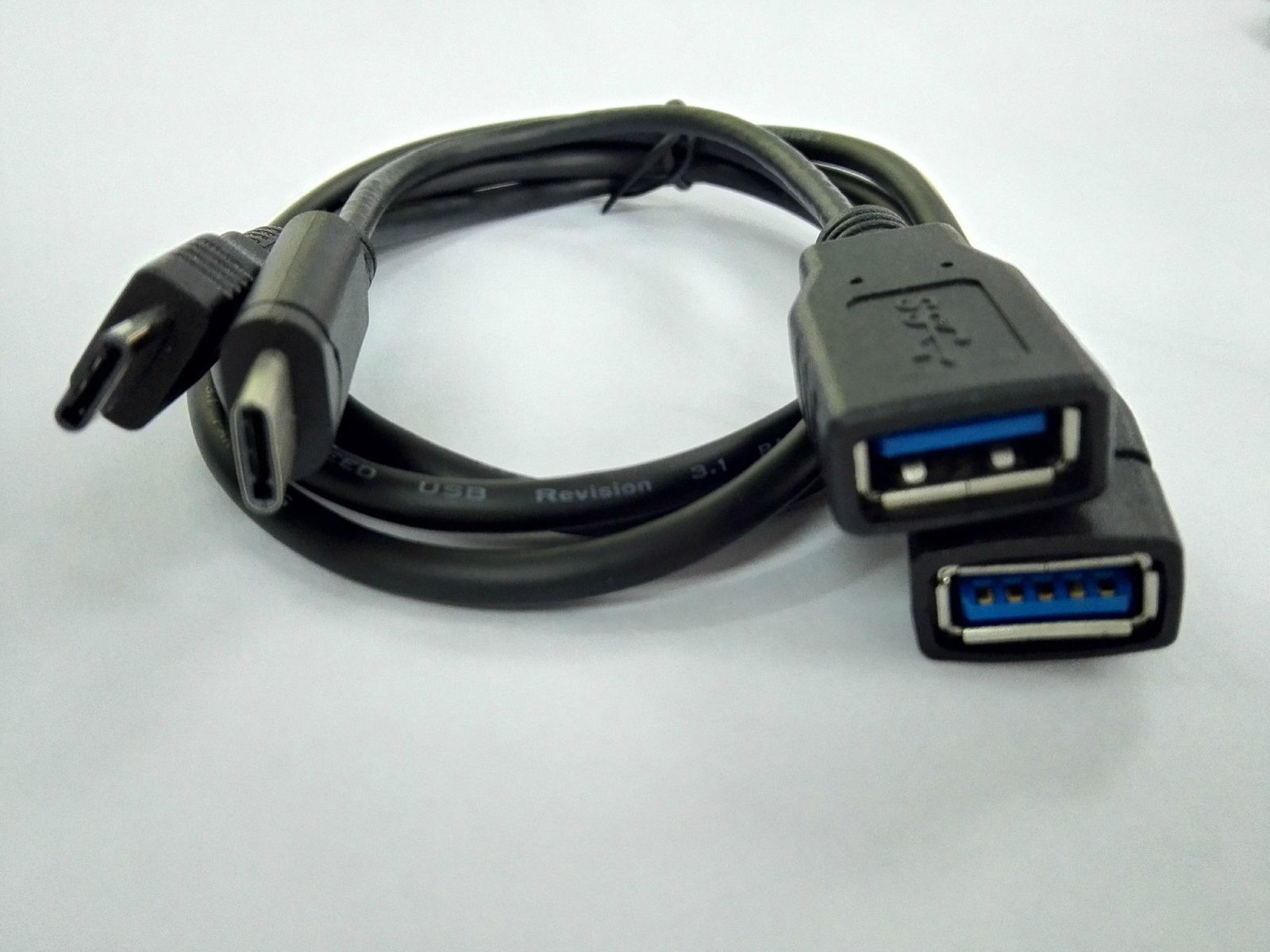 Type C 3.1 male to 3.0 Female cable 3
