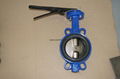 Wafer Butterfly Valve 4