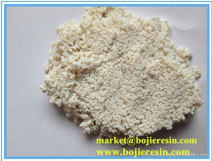 Macroporous Strong Basic Anion Exchange Resin BD201 2