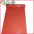 Rubber Sheet 4