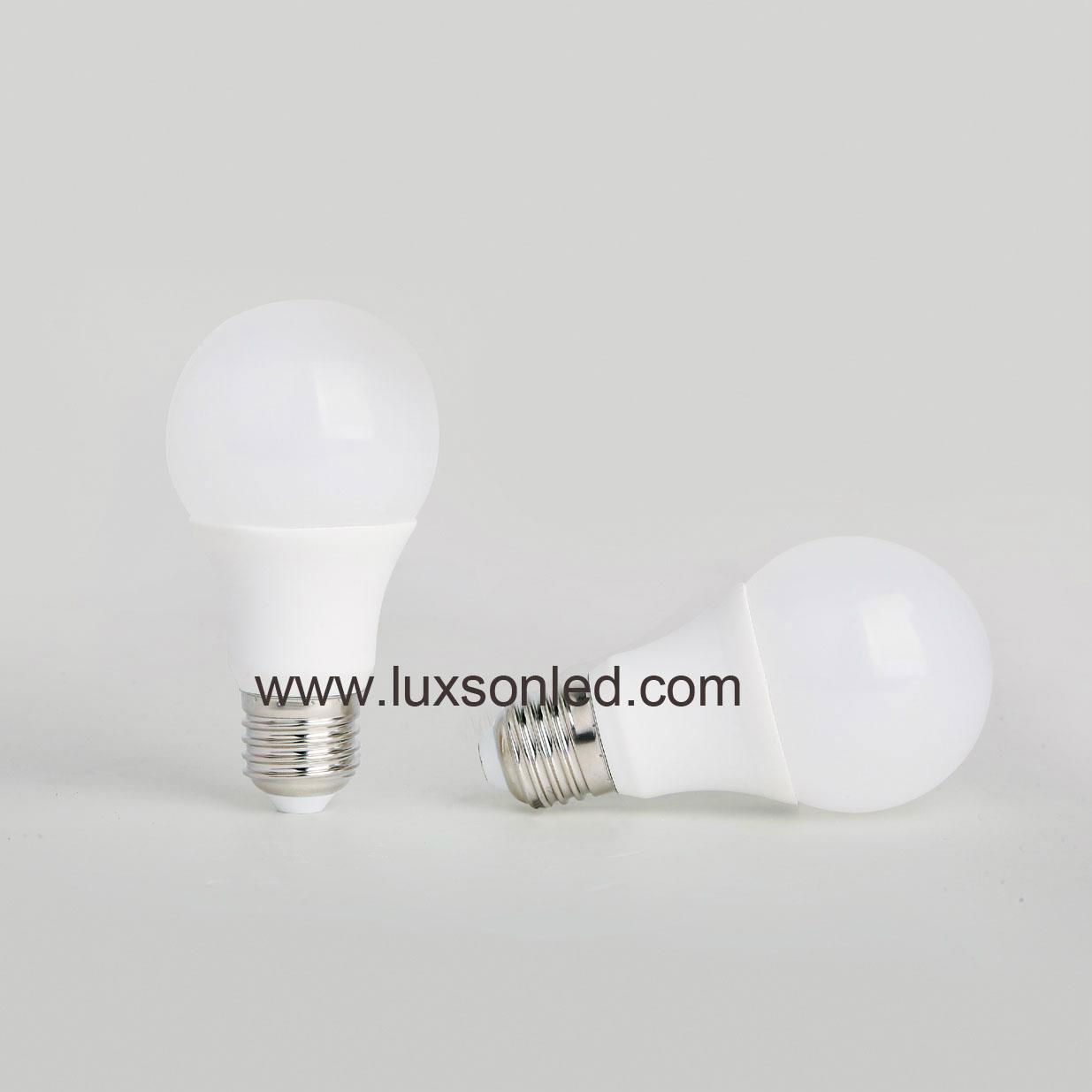 LED Bulb  A60  lamp  light 2