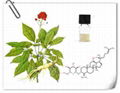 Ginsenoside Rh2