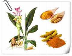 health benefits of curcumin Curcumin