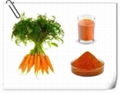 sources of beta carotene Beta-Carotene 1