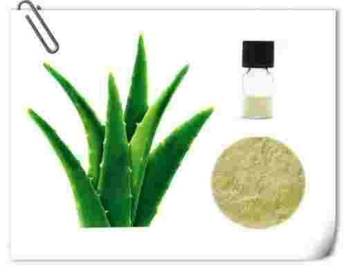 aloe vera extract for skin Aloe Extract
