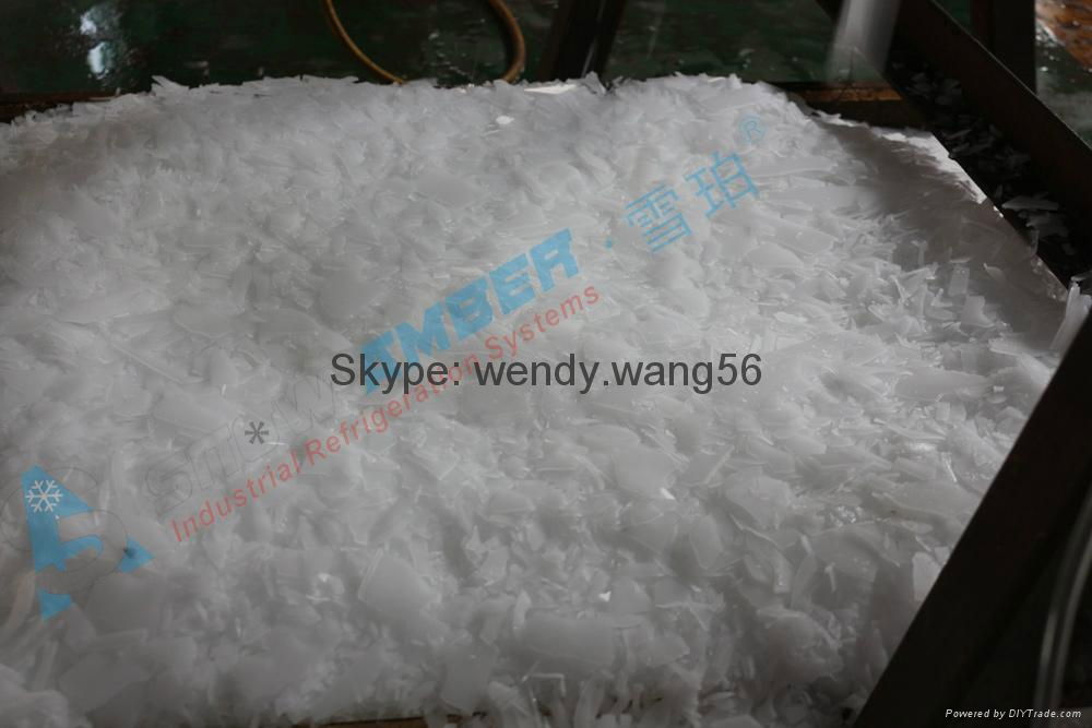 Industrial Shanghai Snowamber Hot Sales Ice Flake Making Machine For Fishery 1T 3