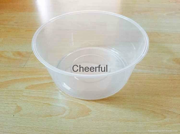 Disposable plastic food container 4