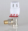 DN15 Brass liquid sensor with