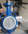 Wafer type Butterfly Valve