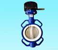 Butterfly Valve with gearbox 2