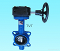 Butterfly Valve with gearbox 3