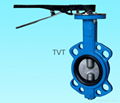 Cast iron Wafer type Butterfly Valve