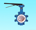 Lug type Butterfly Valve with gearbox