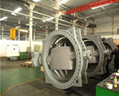 Double eccentric Butterfly Valve