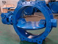 Double eccentric Butterfly Valve with