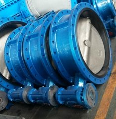 Double flange Butterfly Valve 