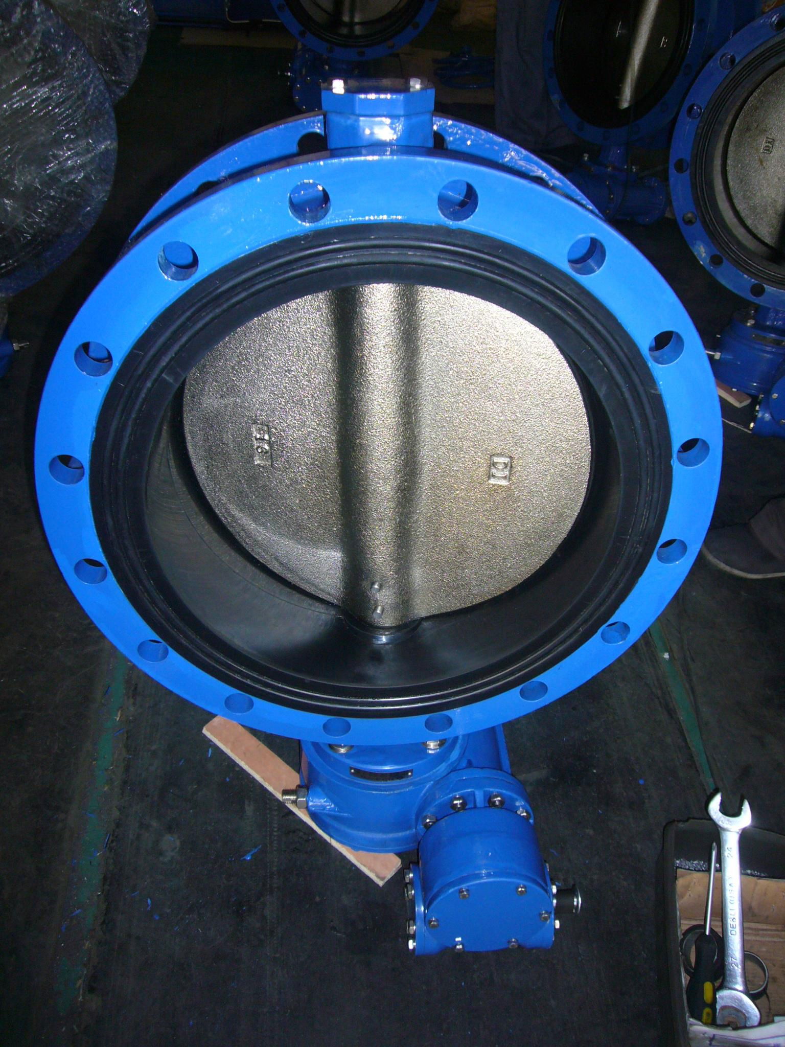 Double flange Butterfly Valve  2