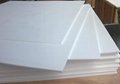 Excellence ptfe plastic panel with competitive price 4