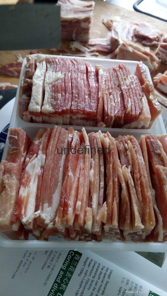  JY-21K肉排切片機 2