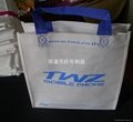 Bags, advertising bags, gift bags, packing bags 3