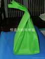 icebag,non-woven bag,shopping bagand packing bag 2