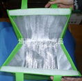 icebag,non-woven bag,shopping bagand packing bag 3