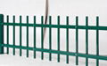 綠色鋅鋼柵欄
