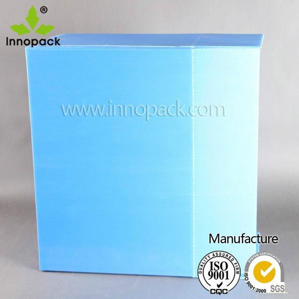 Blue folding plastic cherry tomato packing box  4