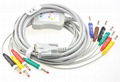 BTL  adult 12-lead ECG cable 1