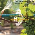 Customized injection plant plastic Grapes clips