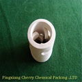 Ceramic Pall Ring 1