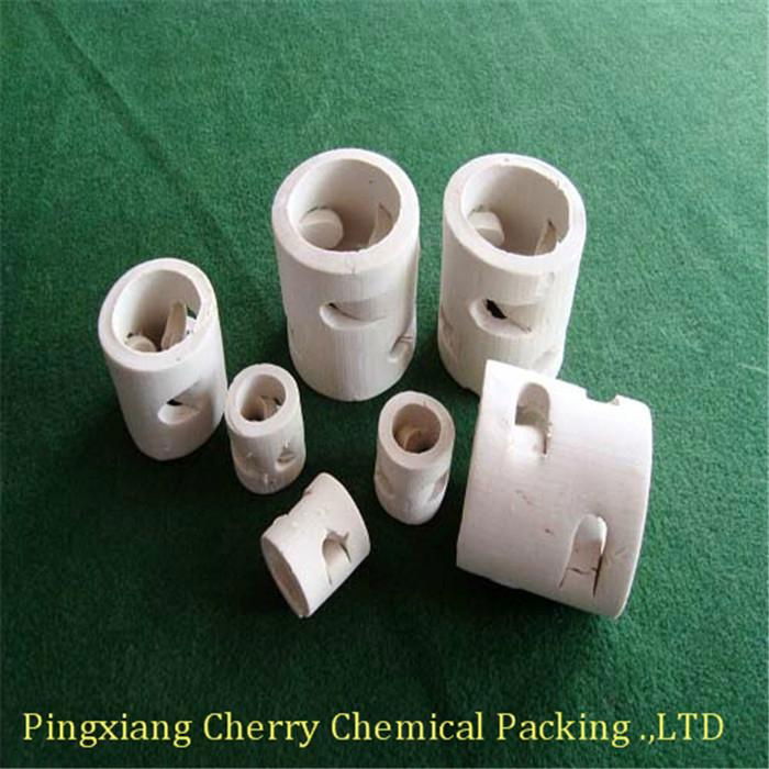 Ceramic Pall Ring 2