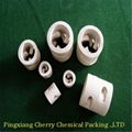 Ceramic Pall Ring 3