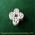 Ceramic plum blossom ring