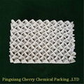 Ceramic Structured Packing 3