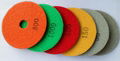 diamond polishing pads 2