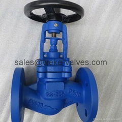 Bellows seal globe valve