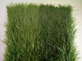 50mm synthetic turf for football sield 2