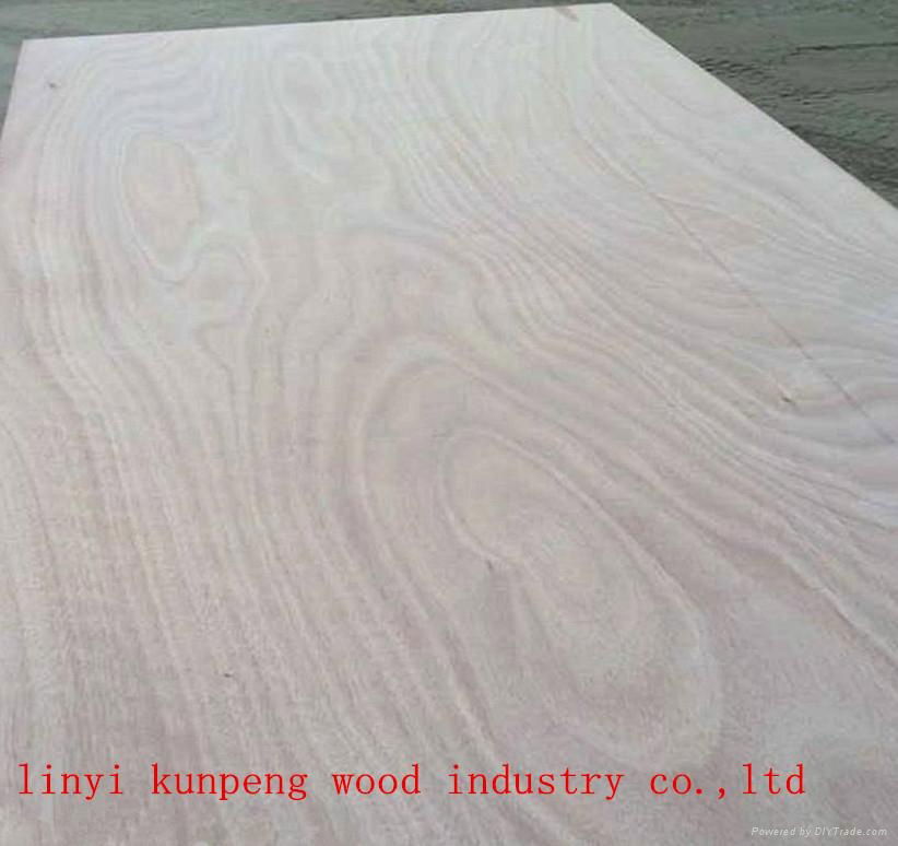 top quality 15mm okoume plywood for furniture and packing use  2