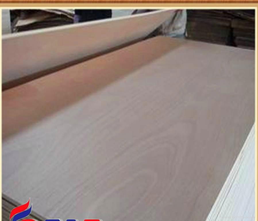 cheap price 18mm okoume plywood from china wholesale market  2