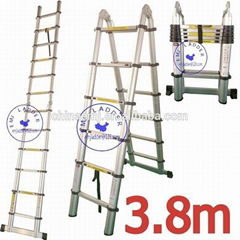 EMJ 3.8m joint  telescopic ladder